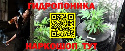 гашишное масло Камышлов