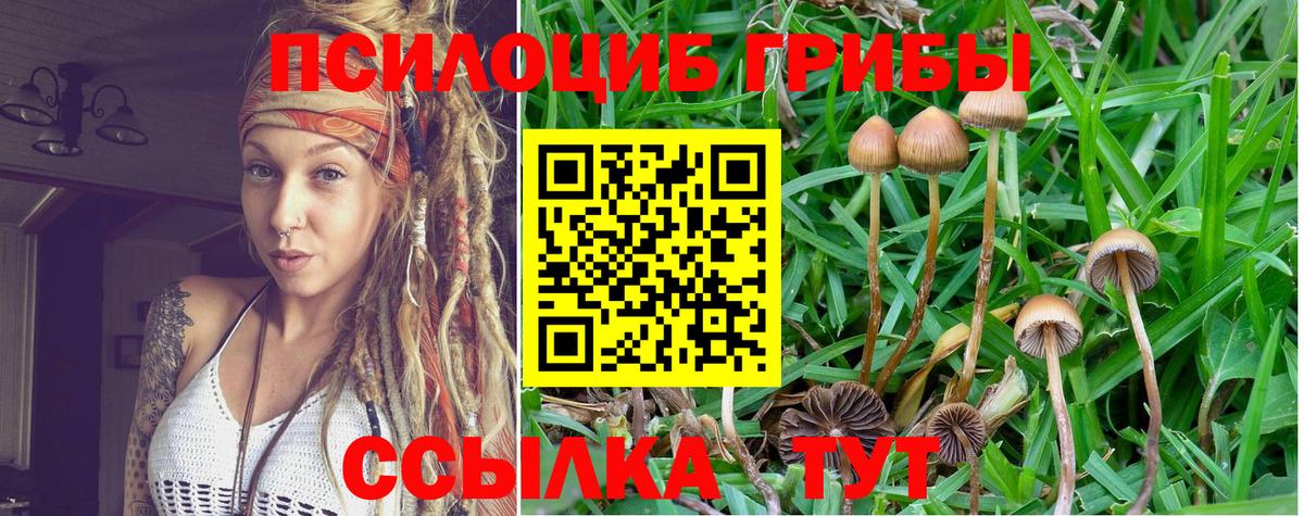 Псилоцибиновые грибы Magic Shrooms  Псилоцибиновые грибы ЛСД  Кыштым  Вход с VPN 